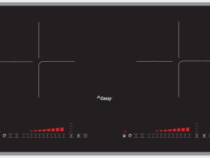 Bếp từ Canzy CZ-T01