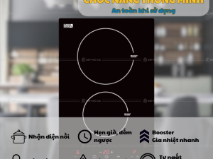 Bếp Từ Malloca MDH 02I