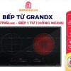 Bếp Từ GrandX GX E795Lux