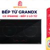 Bếp Từ GrandX GX IP669SE
