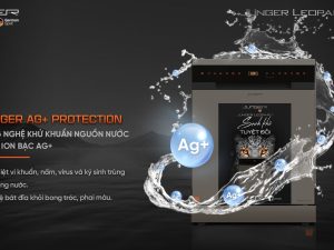 Máy Rửa Chén Junger Leopard DWJ-163