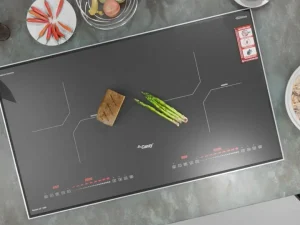 Bếp Từ Đôi Canzy CZ-54M